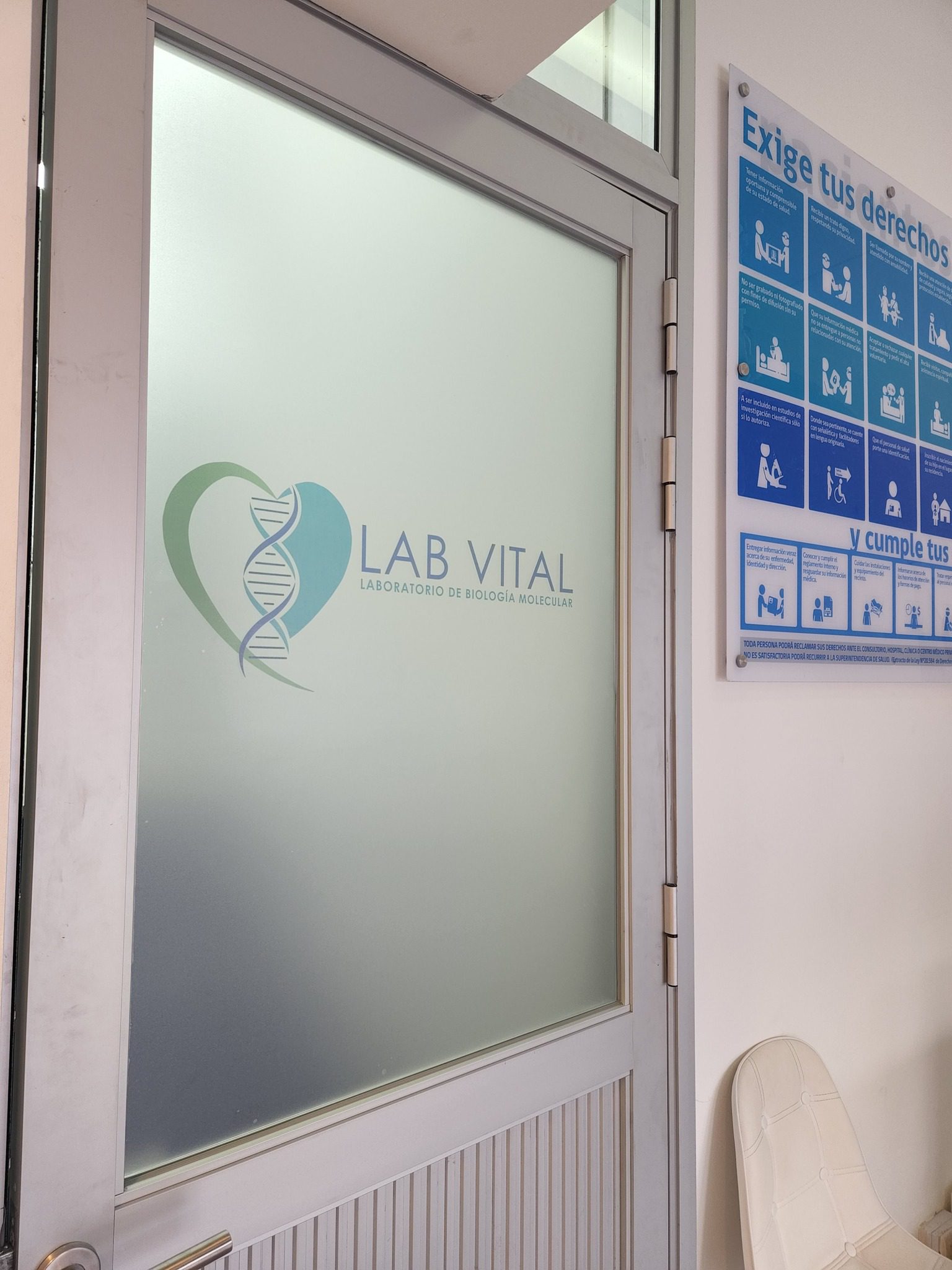 Empavonado de Oficina para Mayor Privacidad y Estilo 1 El Papiro.cl ventana de clínica con empavonado